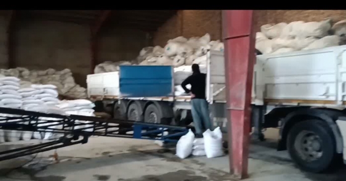 توزیع  مقدار 21 تن  انواع کود کشاورزی یارانه ای برای کشاورزان آفتابگردان شهرستان آزادشهر درشش ماهه سال۱۴۰۴