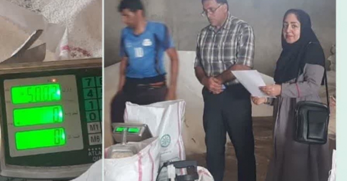 بازدید از روند کیسه گیری کود اوره فله  کارگزاری کود مقصودلو  در شهرستان  گرگان