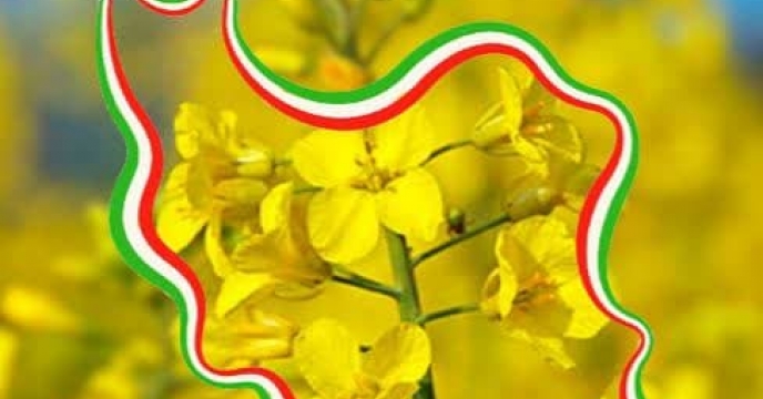 توزیع مقدار93 تن انواع کود کشاورزی یارانه ای از طریق سامانه پایش مواد کودی برای محصول   کشاورزان کلزا کار شهرستان گرگان در فروردین ماه سال جاری