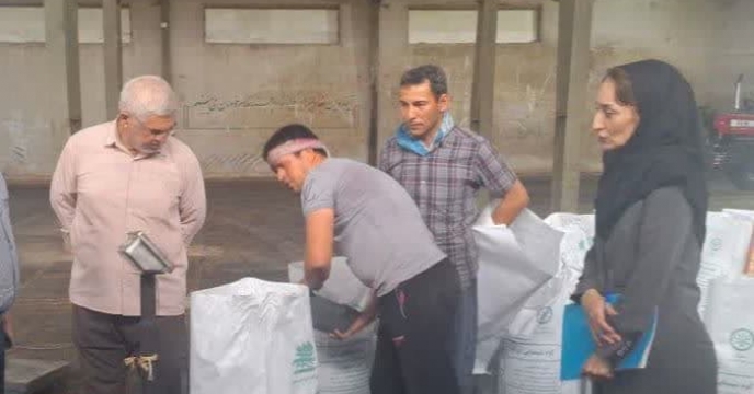 نظارت بر فرایند کیسه گیری کود اوره فله شهرستان ترکمن