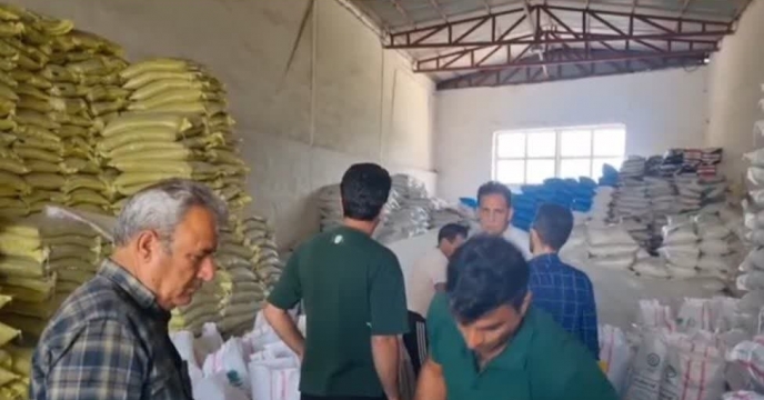 بازدید از روند کیسه گیری کود اوره فله در کیسه های آرم دار شرکت خدمات حمایتی کشاورزی استان گلستان در کارگزاری کود عجم نوروزی در شهرستان آزادشهر  