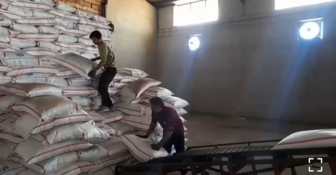تامین ۲۵ درصد از برنامه ابلاغی به بیش از۳۹ هزارتن انواع  کود شیمیایی یارانه ای در گلستان