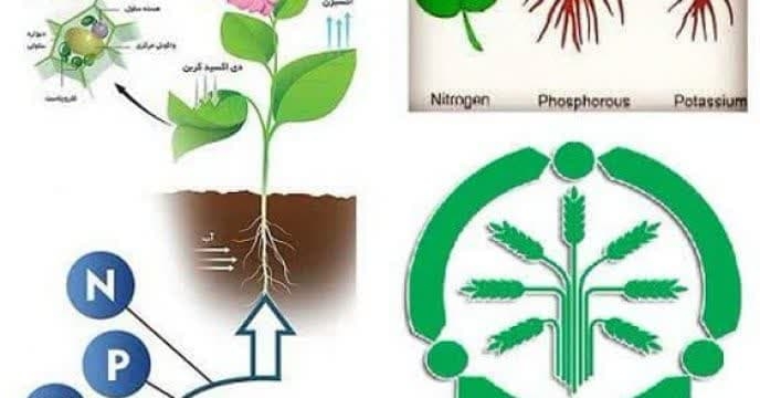 توزیع مقدار۱۴ هزارو ۶۸ تن انواع کود کشاورزی یارانه ای از طریق سامانه پایش مواد کودی در اردیبهشت ماه سال جاری