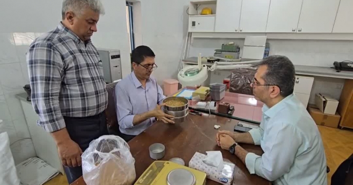 بازرسی ونمونه برداری از بذر گندم به منظور مانیتورینگ و‌کنترل آفات انباری در انبار قرق گلستان