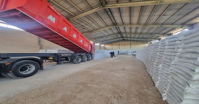 ارسال 1500 تن کود کشاورزی توسط شرکت خدمات حمایتی کشاورزی استان خوزستان به شهرستان اندیمشک در آبان ماه