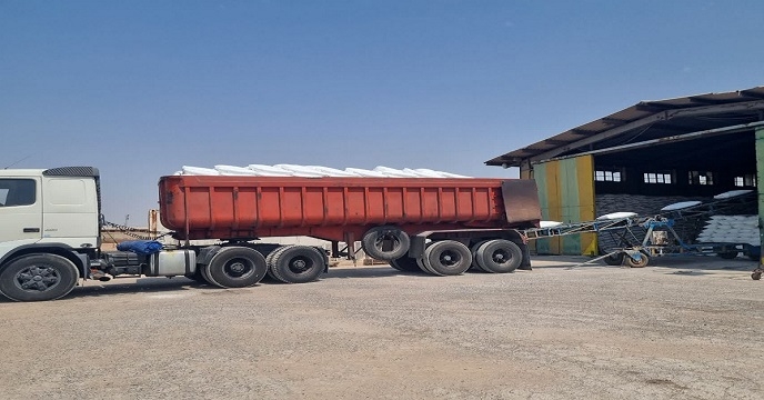 تأمین 4000تن کود کشاورزی از شرکت خدمات حمایتی کشاورزی استان خوزستان به شهرستان شوش رسید