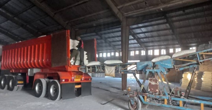 حمل 2000تُن کود کشاورزی از شرکت خدمات حمایتی کشاورزی استان خوزستان به شهرستان شادگان انجام شد