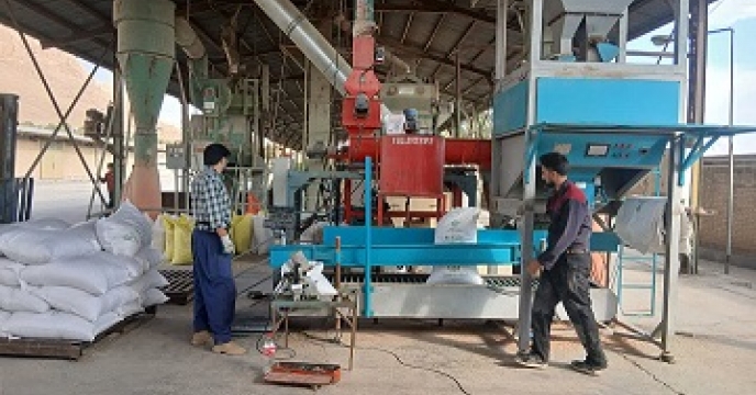 آغاز عملیات بوجاری بذور گندم و جو در سایت‌های بوجاری شرکت خدمات حمایتی کشاورزی استان چهارمحال و بختیاری 