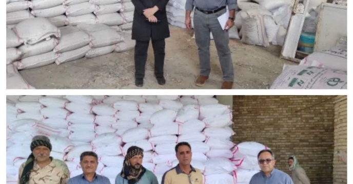 پایش کارگزاران شهرستان ثلاث باباجانی