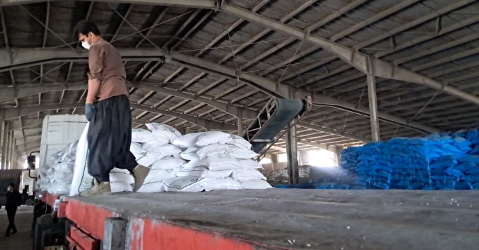 در راستای تامین موردنیاز کشاورزان 75 تن کود ازت بین کارگزاران شهرستان بم توزیع شد