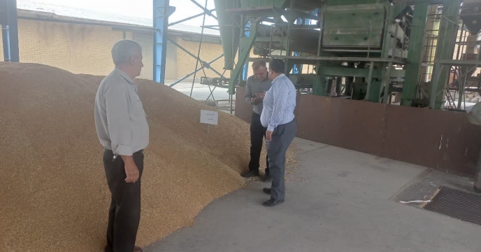 بازدید کارشناس معین شرکت خدمات حمایتی کشاورزی استان چهارمحال و بختیاری از دستگاهها و تجهیزات فرآوری بذر استان