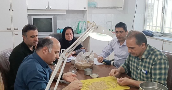 نظارت بر فرآیند خرید بذر گندم و جو شرکت‌های تولید کننده بذر در استان