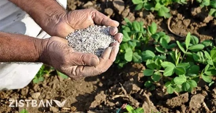 مقدار 215تن کود یارانه ای با هدف تامین نیاز کودی کشاورزی منطقه در حال ارسال به انبار کارگزاران میباشد