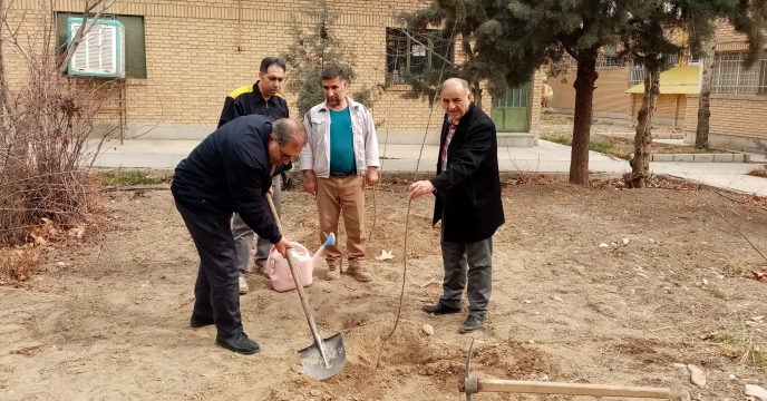 کاشت نهال به مناسبت روز نهال کاری در محوطه اداری شرکت انجام گردید.