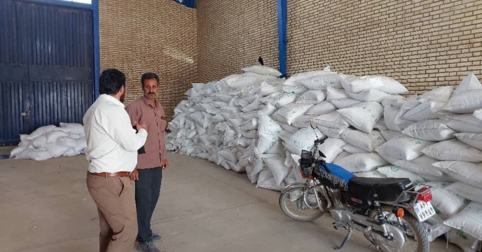 بازدید کارگروه پایش از انبار کارگزاری شرکت تعاونی تولید روستایی فمی و متین آباد و بررسی روند توزیع کود در شهرستان نطنز، استان اصفهان