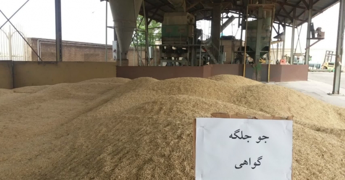 آغاز عملیات نمونه برداری بذور گندم و جو در شرکت خدمات حمایتی کشاورزی استان چهال محال و بختیاری