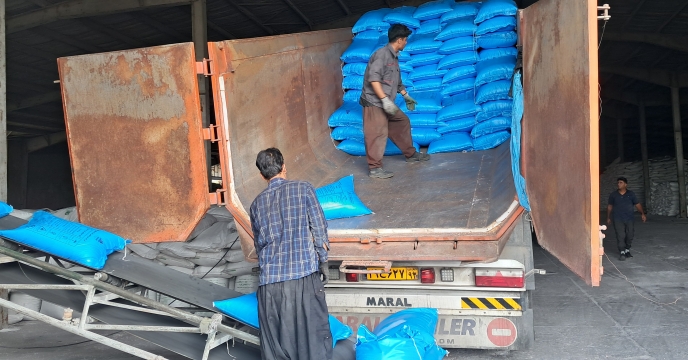  توزیع ۴۸۳ تن کود یارانه‌ای بین کشاورزان شهرستان راور در هفت‌ماهه نخست سال1404