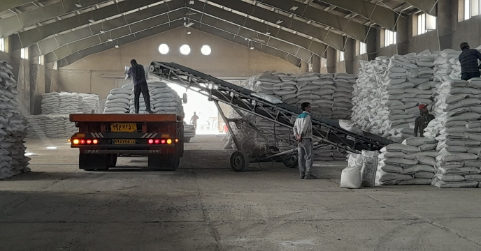 شرکت خدمات حمایتی کشاورزی در شهرستان نهاوند ۸۷۵۰ تن کود کشاورزی تامین و توزیع کرد