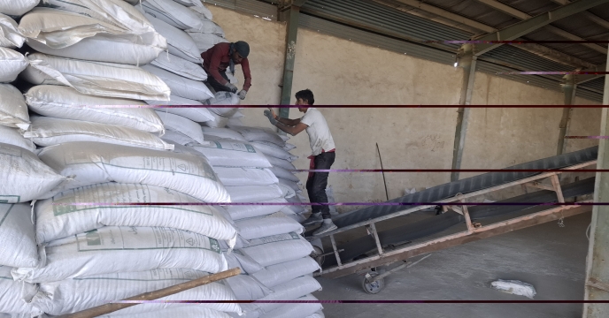 تامین و توزیع میزان  1221 تن کود فسفات برای تقویت بخش کشاورزی جنوب کرمان 