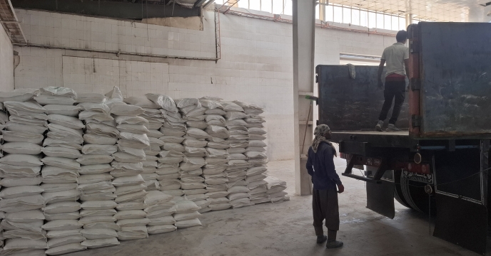 فروش میزان ۶۱۶ تن انواع کود کشاورزی به کارگزاران جنوب کرمان طی سه روز گذشته