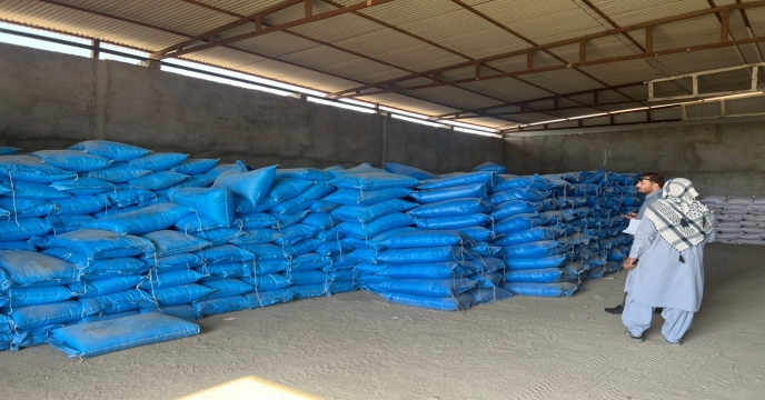 نظارت میدانی