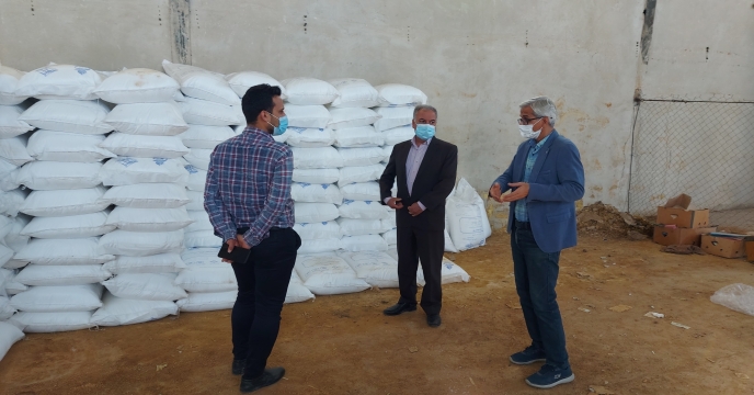 بازدید مدیر شرکت خدمات حمایتی کشاورزی استان بوشهر از کارگزاری اتحادیه تعاون روستایی شهرستان کنگان