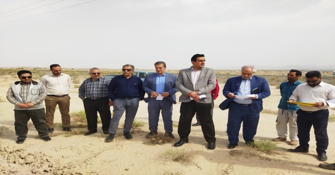 بازدید مدیر امور ماشین ها و ادوات کشاورزی شرکت از مزارع تکثیر بذر استان خراسان جنوبی