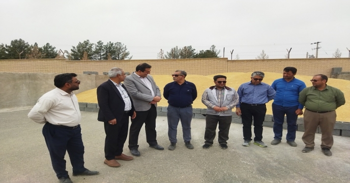 بازدید مهندس مسعودی فر از بذرهای خریداری شرکت خدمات حمایتی کشاورزی خراسان جنوبی