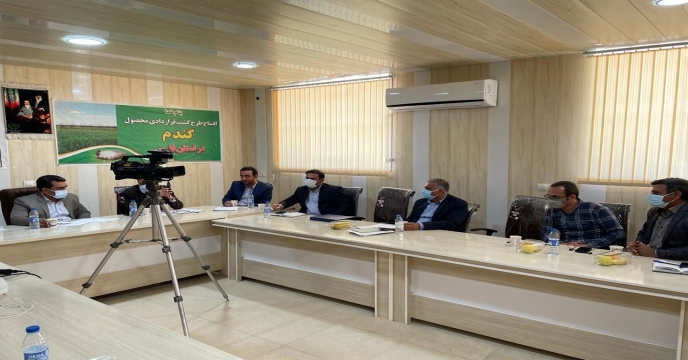 برگزاری جلسه هم اندیشی کشت قراردادی گندم در شهرستان رستم استان فارس