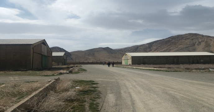 توزیع بیش از637 تن انواع کود کشاورزی یارانه ای به شهرستان اراک و حومه در بهمن ماه سال 1404