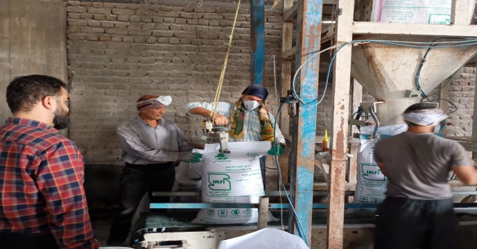 بازدید حراست از عملیات کیسه‌گیری کود اوره
