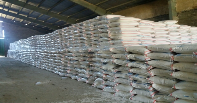 توزیع بیش از127 تن انواع کود کشاورزی یارانه ای به شهرستان خمین و حومه – بهمن ماه 1404