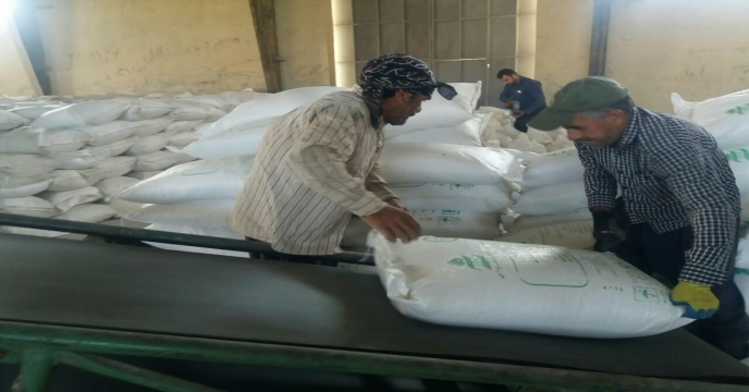 توزیع مقدار488 تن انواع کود کشاورزی یارانه ای از طریق سامانه پایش برای کشاورزان شهرستان خمین و حومه