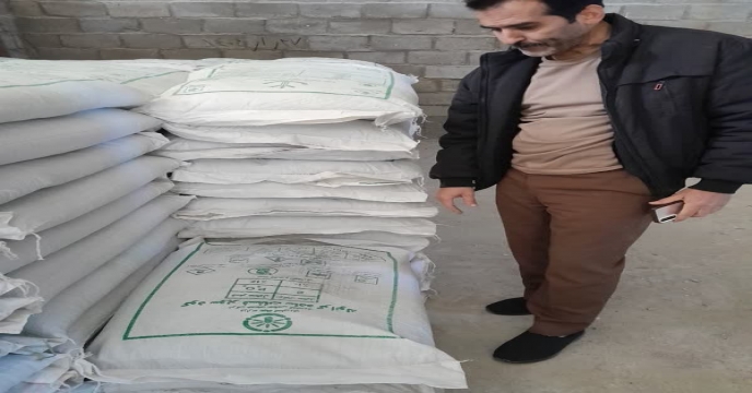 نمونه برداری ازکود سوپر فسفات ساده گرانوله ارسالی از ارکان شیمی جنوب در انبار سازمانی کود شهید شاملو استان مرکزی