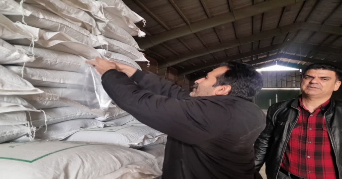 نمونه برداری ازکود سوپر فسفات ساده گرانوله ارسالی از ارکان شیمی جنوب در انبار سازمانی کود شهید شاملو استان مرکزی