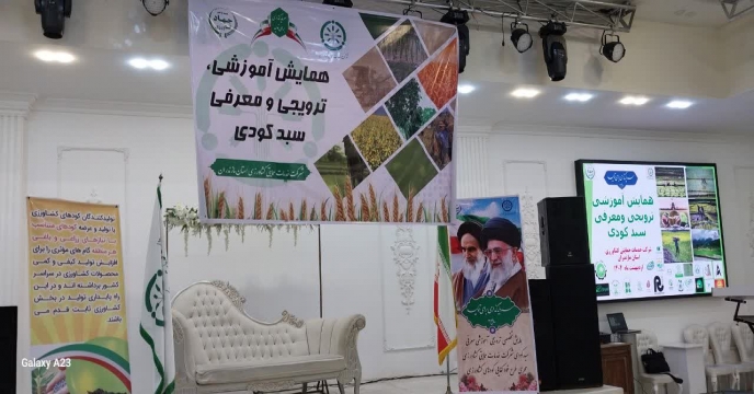 همایش