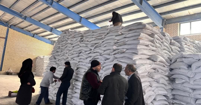 نمونه برداری از کود سوپر فسفات ساده در انبار شرکت خدمات حمایتی کشاورزی خراسان جنوبی