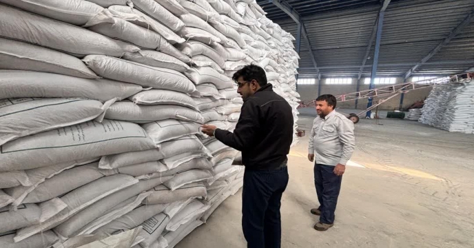 نمونه برداری از کود سوپر فسفات ساده در انبار شرکت خدمات حمایتی کشاورزی خراسان جنوبی