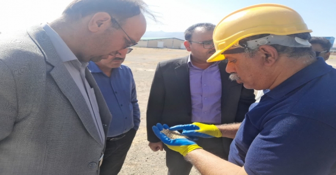 بازدید معاون بهبود تولیدات گیاهی سازمان جهادکشاورزی خراسان جنوبی از روند بوجاری بذور در سایت بوجاری شرکت