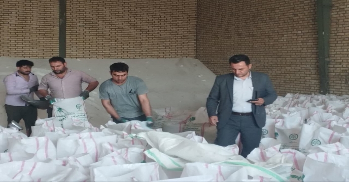 مایان