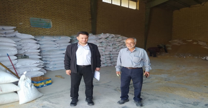 پایش کود