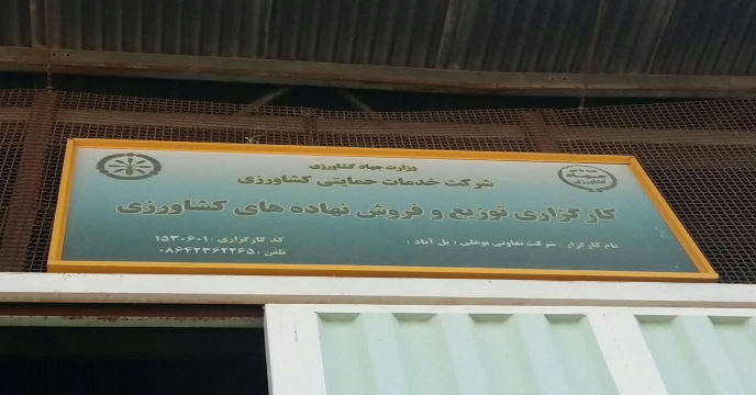 تدارک و توزیع 410 تن کود سولفات پتاسیم پودری و گرانوله در بهمن ماه سالجاری - استان مرکزی