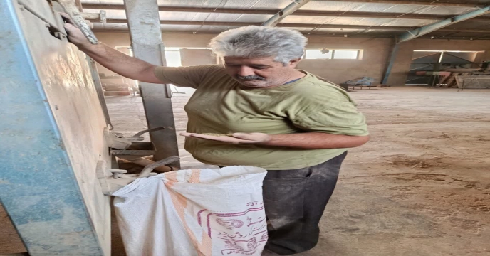 بوجاری یونجه5