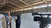 مصاحبه مدیر شرکت خدمات حمایتی کشاورزی استان کهگیلویه و بویراحمد با صدا و سیمای مرکز استان