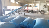  208 تن کود کشاورزی درتیرماه در شهرستان ارزوییه توزیع شده است