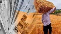  واریز یارانه نقدی کودهای فسفاته و پتاسه به حساب کشاورزان آذربایجان شرقی
