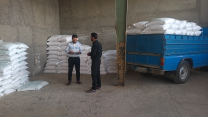 فروش بیش از ۳۶۲ تن کود کشاورزی به مصرف‌کنندگان در استان قم