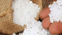 حمایت از بهره برداران و کشاورزان شهرستان شهرکرد با ارسال محموله 25 تنی کود اوره یارانه ای بخش کشاورزی از مبدا مرودشت