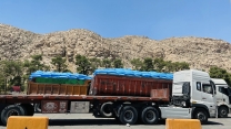 در سه ماه نخست سال جاری بیش از 700 تن کود کشاورزی به استان کردستان ارسال شد