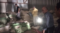 بازدید کارگروه بازرسی، نظارت و کنترل کیفی مواد کودی استان قم از شرکت آیدیک دانه